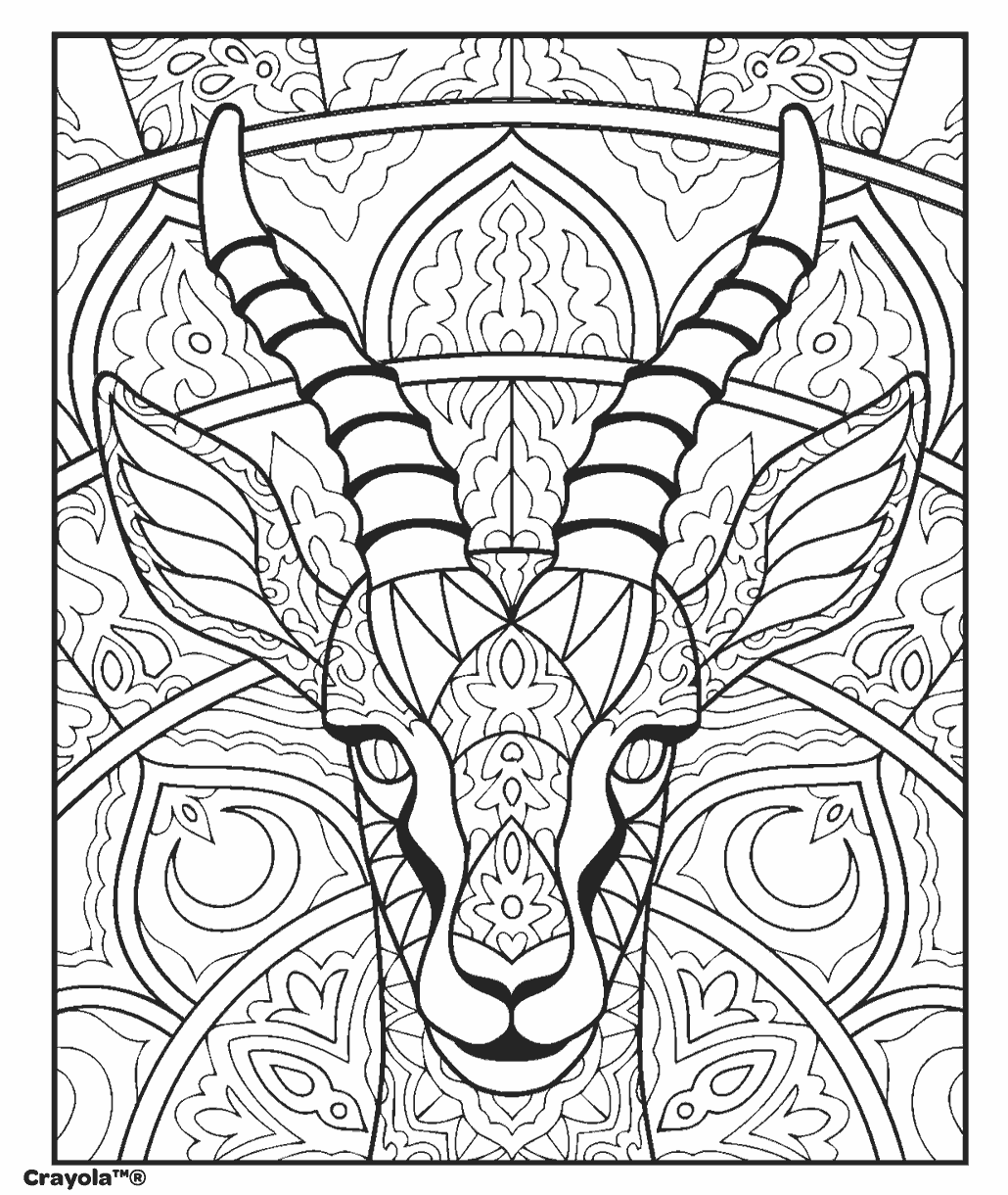 Intricate design adult colouring page featuring an Antelope in mandala style.