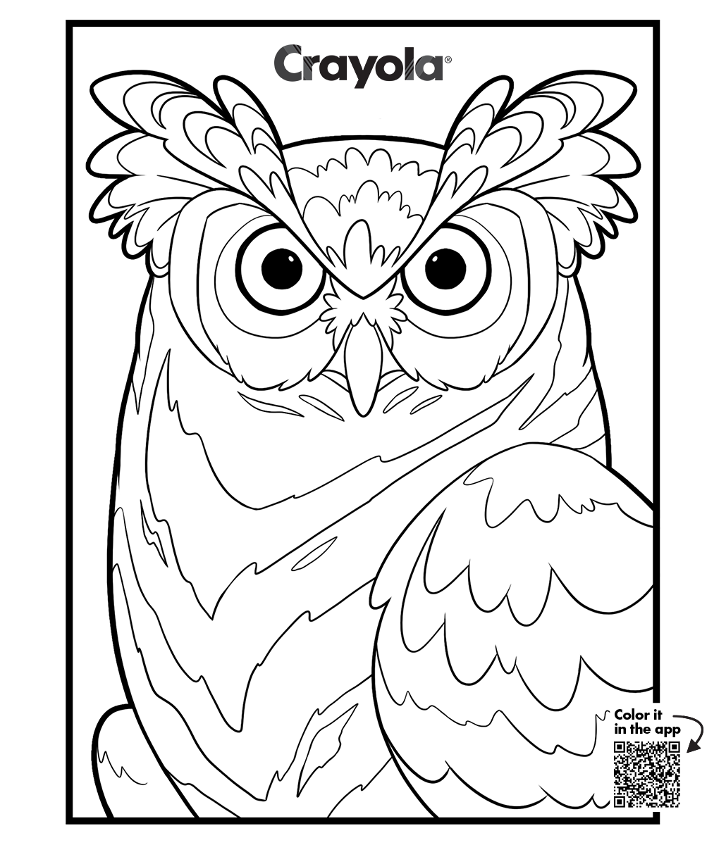 Página para colorear de búho adulto con grandes secciones de plumas y contornos en negritas, página imprimible o coloreada digitalmente en la app Crayola Adult Coloring de Red Games