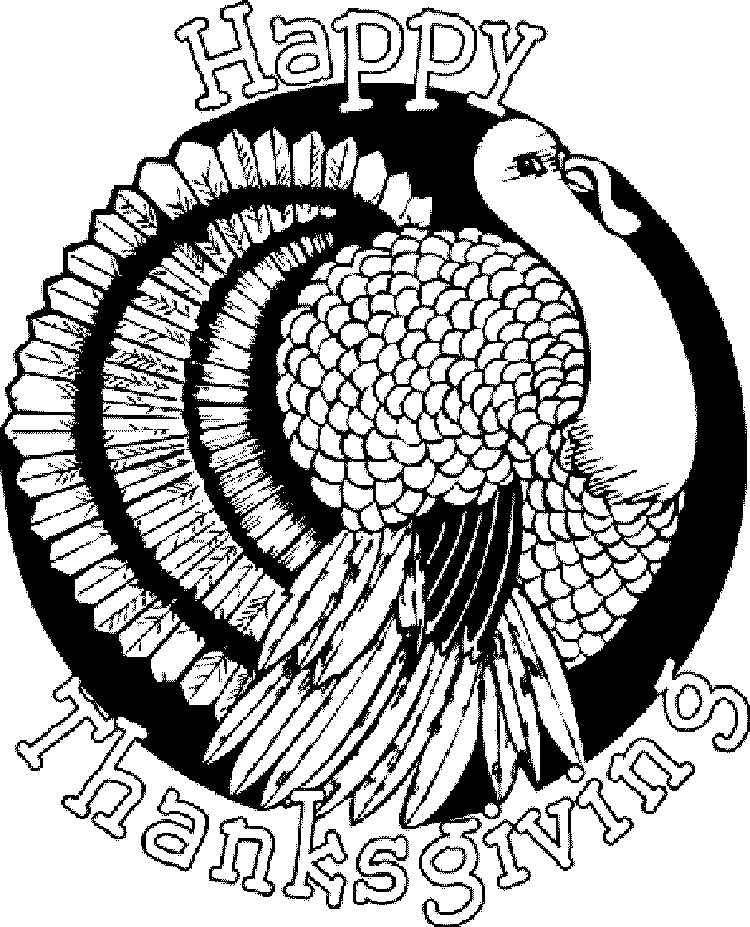 Thanksgiving Turkey