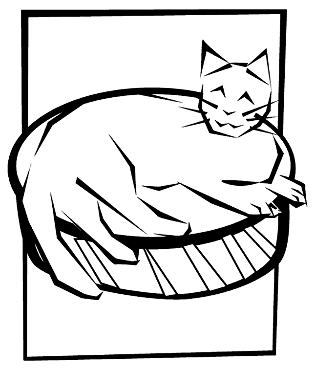 Gato lindo