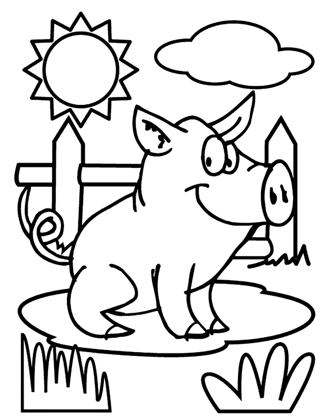 Pig