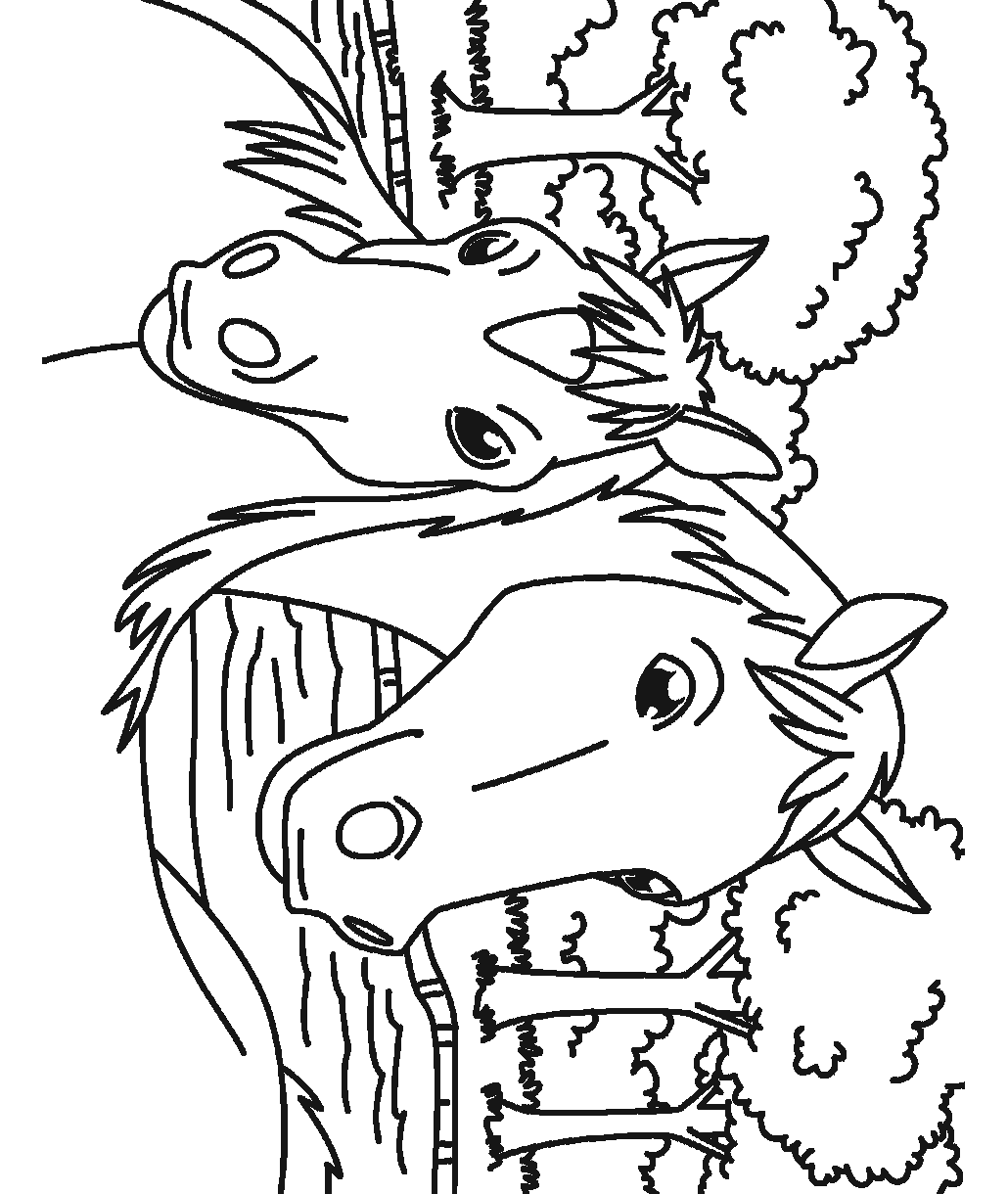 Horse coloring page showing two horses standing together in a grassy outdoor setting with trees in the background.