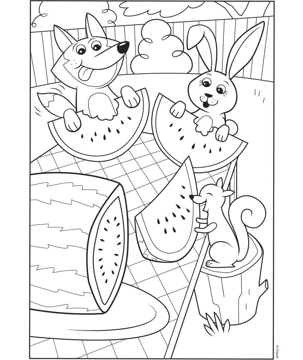 Picnic de sandía
