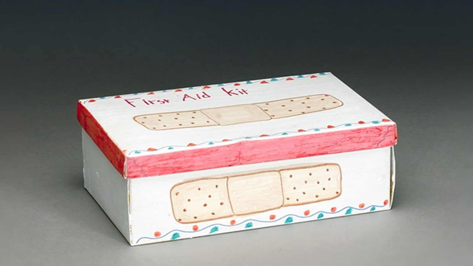 Family First Aid Kit