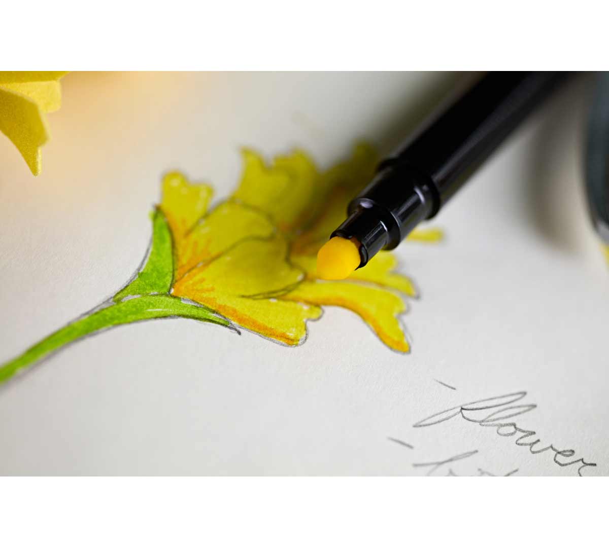 Brush & Detail Dual Ended Markers. 16 count. flower being draw with yellow marker.