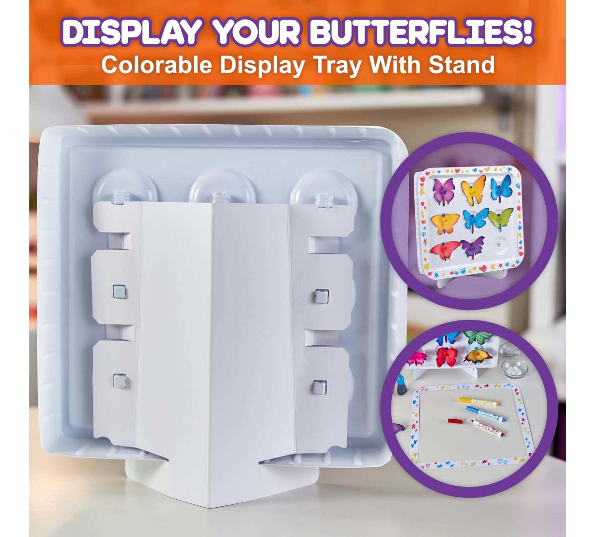 STEAM Paper Butterflies. Display your butterflies! Colorable display tray with stand.